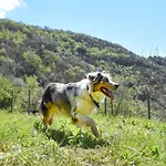 Al Podere לינה וארוחת בוקר Zuccarello
