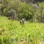 לינה וארוחת בוקר Al Podere