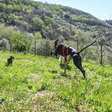 Al Podere Bed and breakfast Zuccarello