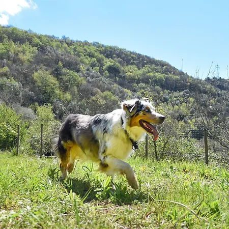 Al Podere Отель типа 