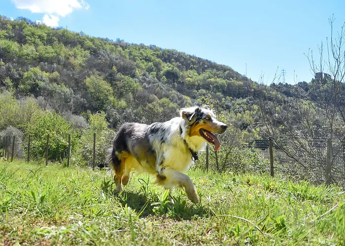 Al Podere Bed and breakfast Zuccarello