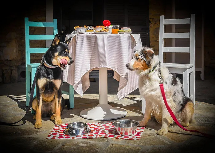 Al Podere Bed and breakfast 3*