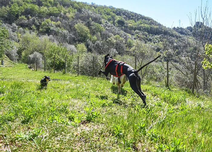 Al Podere Bed and breakfast Zuccarello