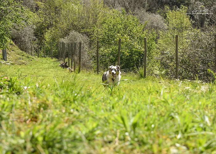 Bed and breakfast Al Podere